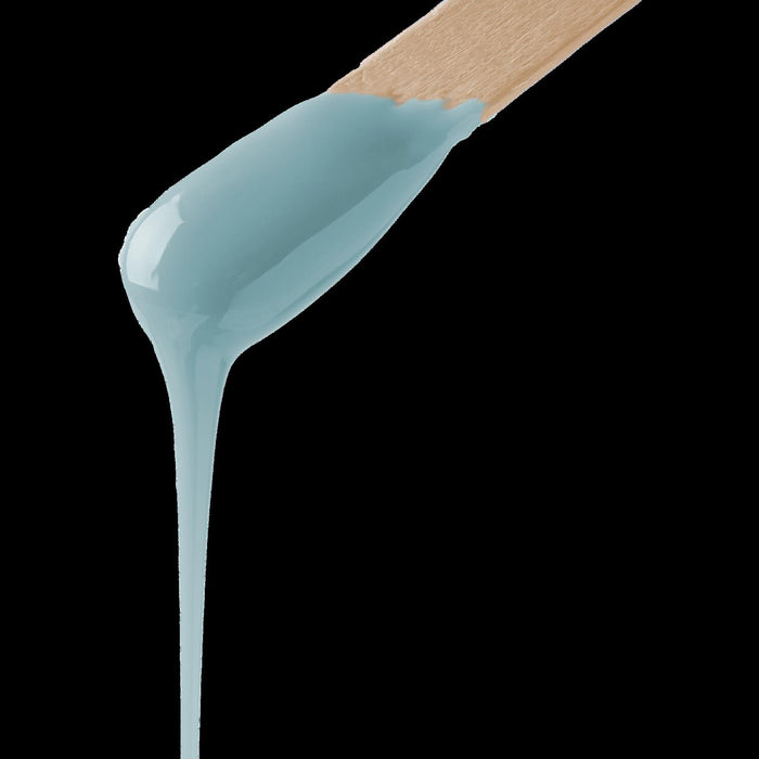 Sienna X Peppermint Crème Warm Wax Tea Tree & Echinacea Formula - 450g