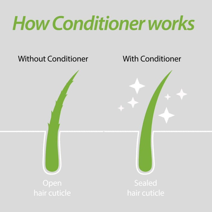 Plantur 39 Conditioner For Coloured Hair Protect Nourish & Strengthen 150ml x 3